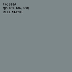 #7C888A - Blue Smoke Color Image